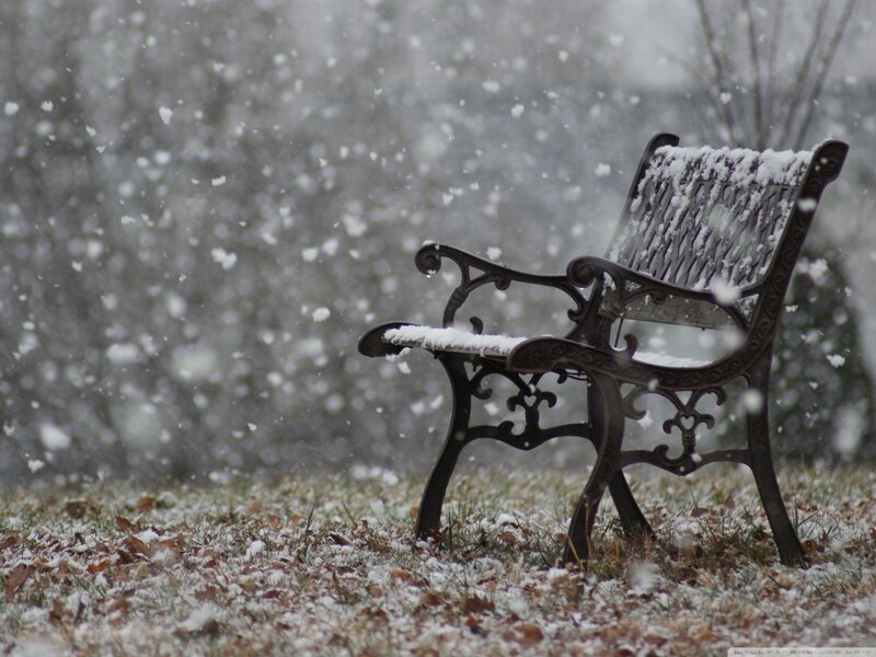 Snow-covered Bench — White, Quiet, Winter, Photograph, Snow