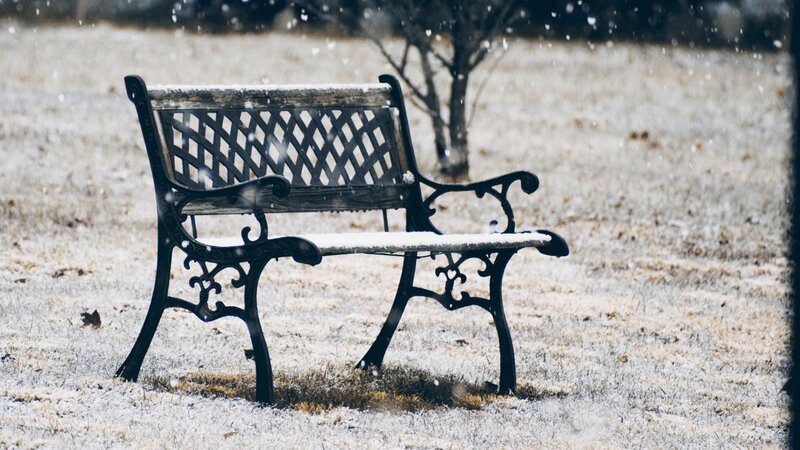 Snow-covered Bench — White, Quiet, Winter, Photograph, Snow, Tree
