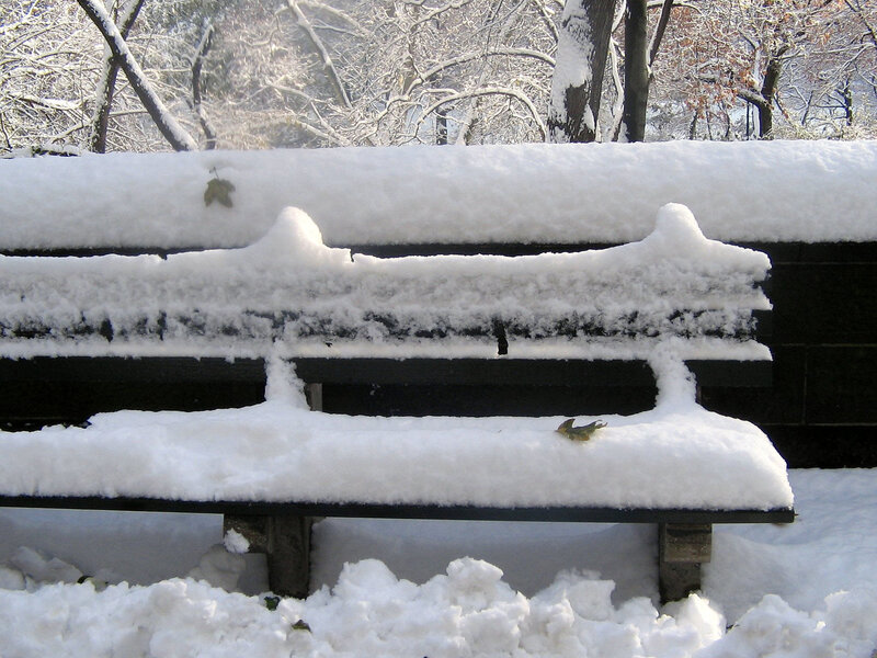 Snow-covered Bench — White, Quiet, Winter, Photograph, Snow, Trees