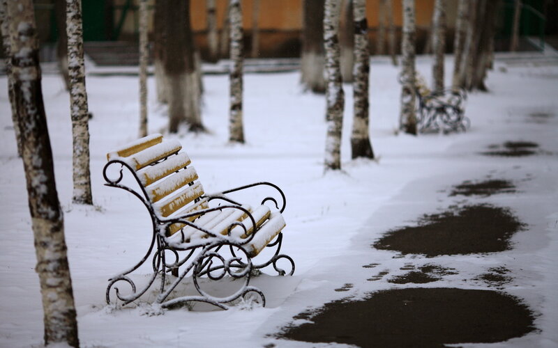 Snow-covered Bench — White, Quiet, Winter, Photograph, Trees