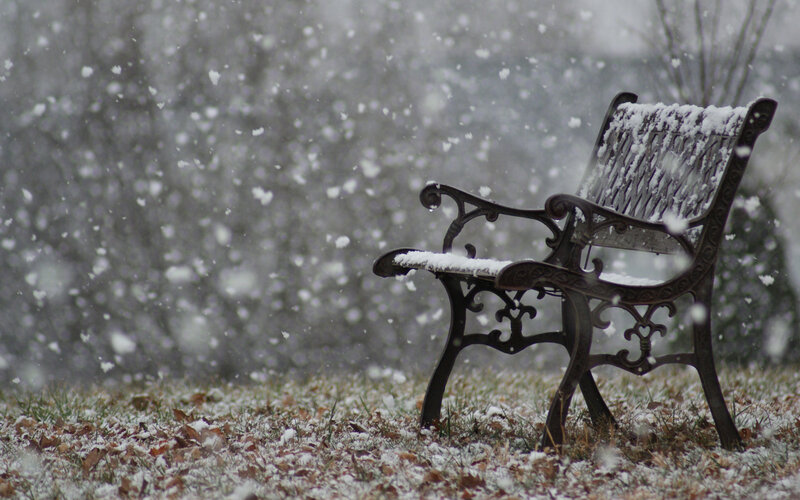 Snow-covered Bench — White, Quiet, Winter
