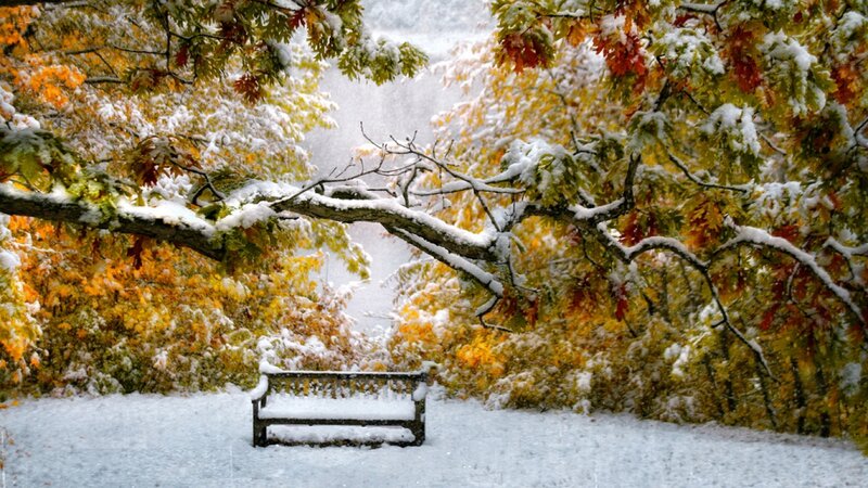 Snow-covered Bench — White, Serene, Autumn, Photograph