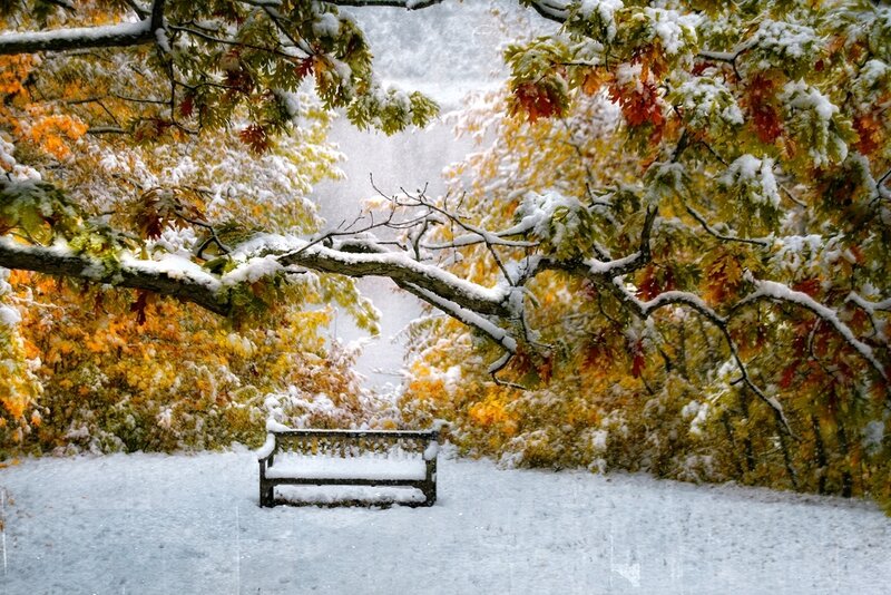 Snow-covered Bench — White, Serene, Autumn