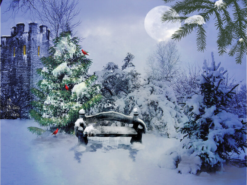 Snow-covered Bench — White, Serene, Night, Digital Art