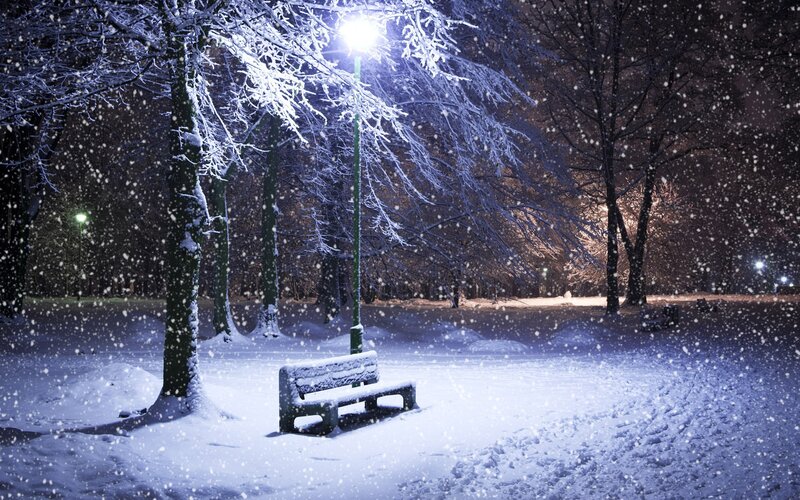 Snow-covered Bench — White, Serene, Night, Photograph, Trees, Streetlight, Snow, Blue
