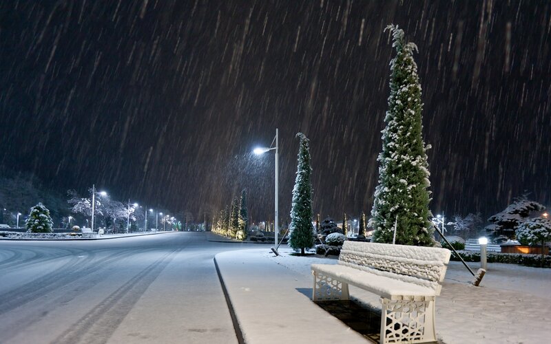 Snow-covered Bench — White, Serene, Night, Photograph, Trees