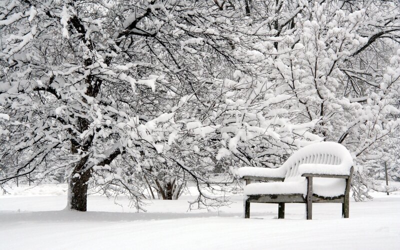 Snow-covered Bench — White, Serene
