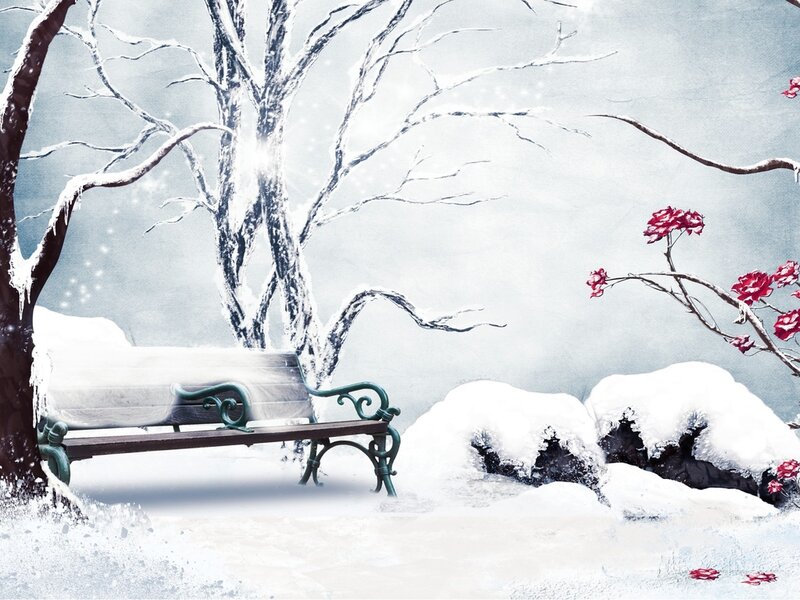 Snow-covered Bench — White, Serene, Winter, Digital Art, Tree, Flowers