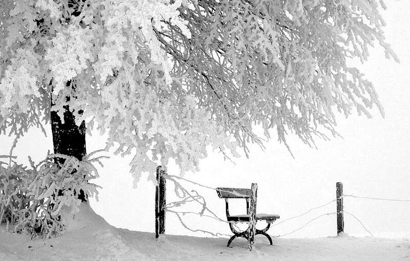 Snow-covered Bench — White, Serene, Winter, Photograph