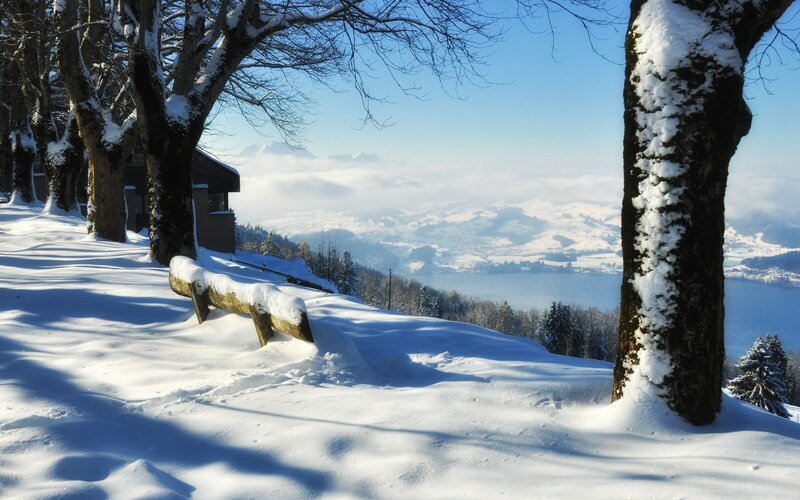 Snow-covered Bench — White, Serene, Winter, Photograph, Trees, Lake