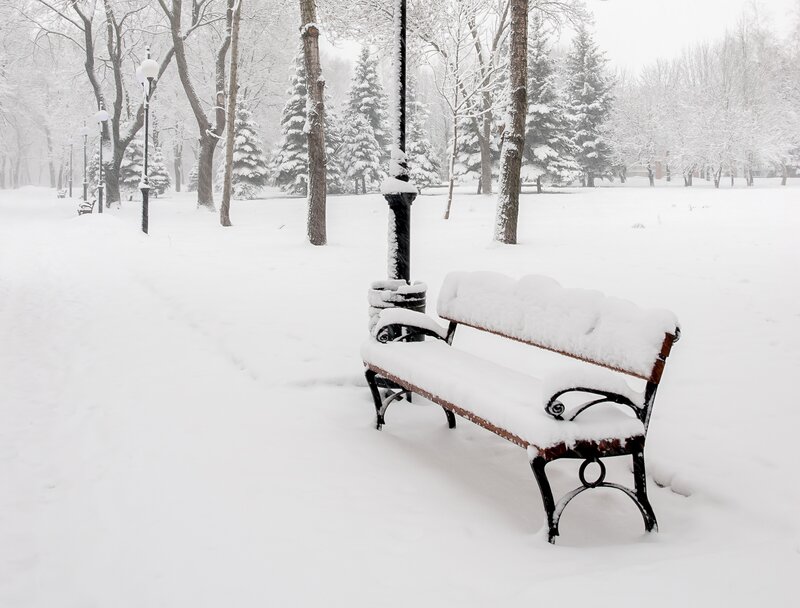 Snow-covered Bench — White, Serene, Winter, Photograph, Trees, Lamppost