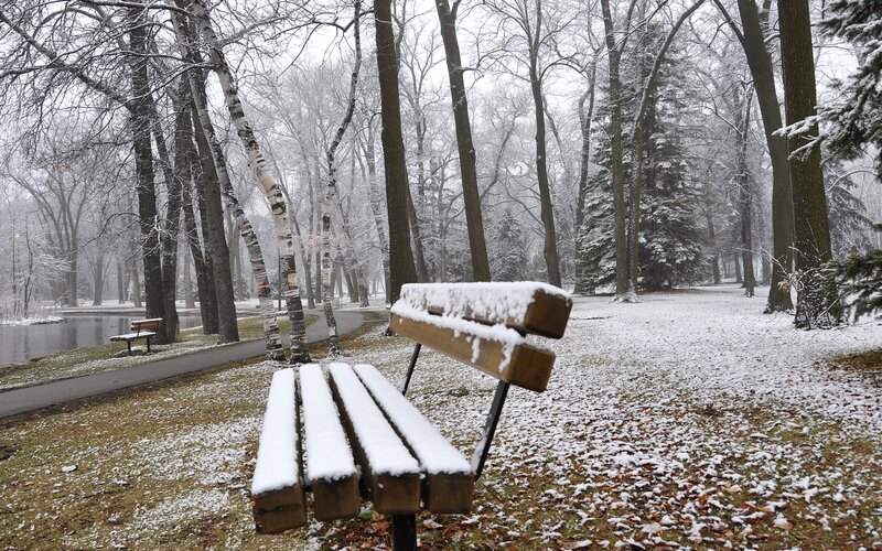Snow-covered Bench — White, Serene, Winter, Photograph, Trees, Path