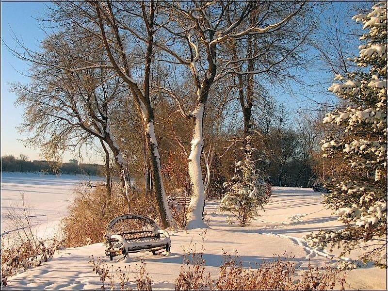 Snow-covered Bench — White, Serene, Winter, Photograph, Trees, River