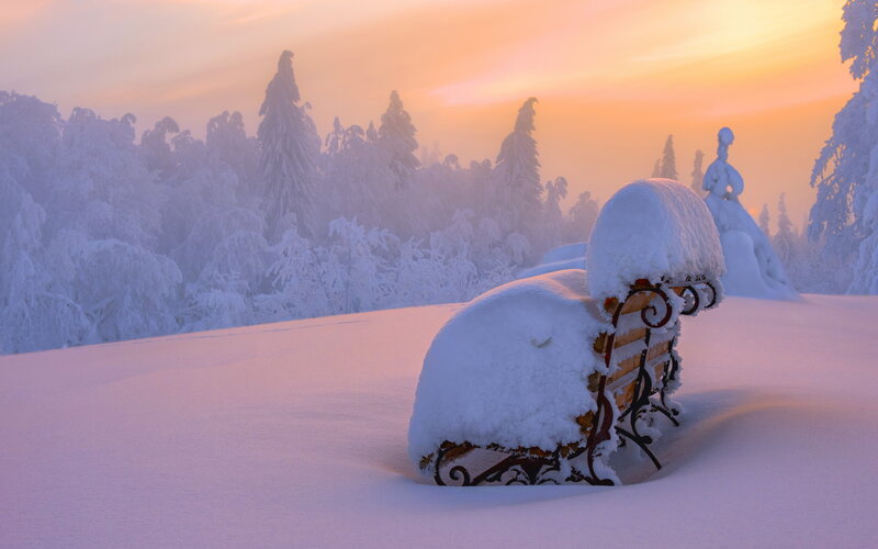 Snow-covered Bench — White, Serene, Winter, Photograph, Trees, Snow, Sunset
