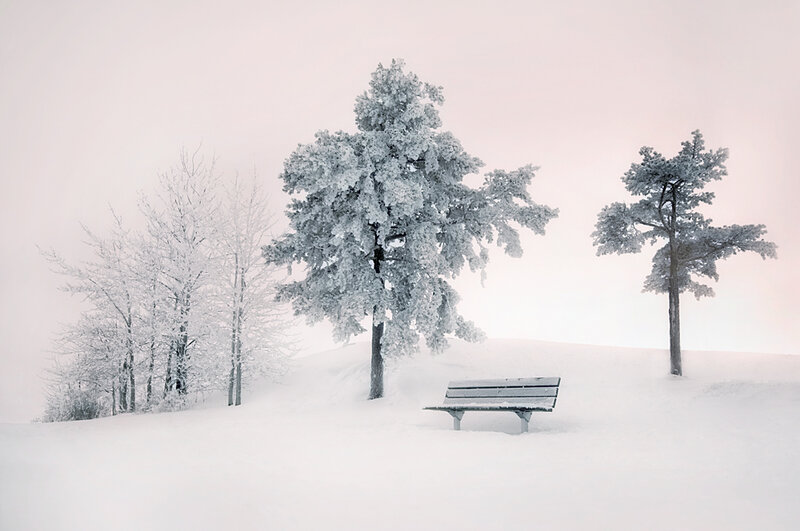 Snow-covered Bench — White, Serene, Winter, Photograph, Trees, Snow