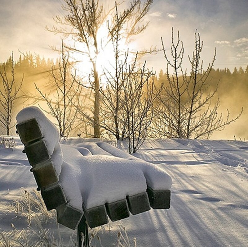 Snow-covered Bench — White, Serene, Winter, Photograph, Trees, Sunlight