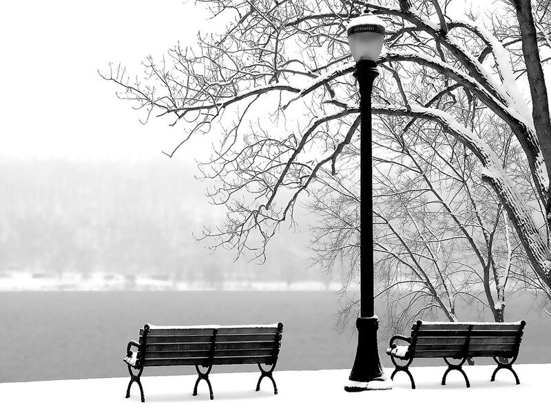 Snow-covered Benches — Black, Serene