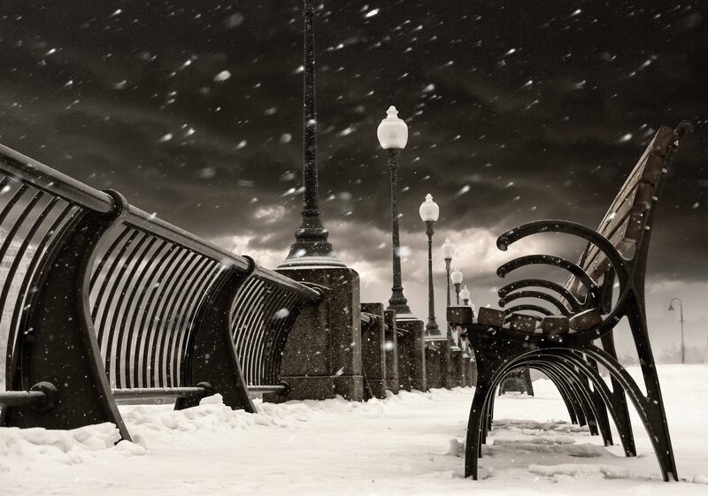 Snow-covered Benches — Black