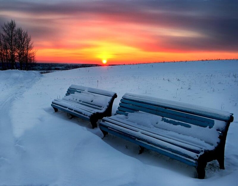 Snow-covered Benches — Blue, Serene