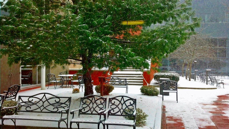 Snow-covered Benches — Green