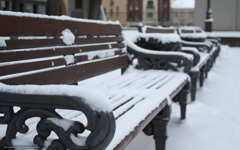 Snow-covered benches in winter
