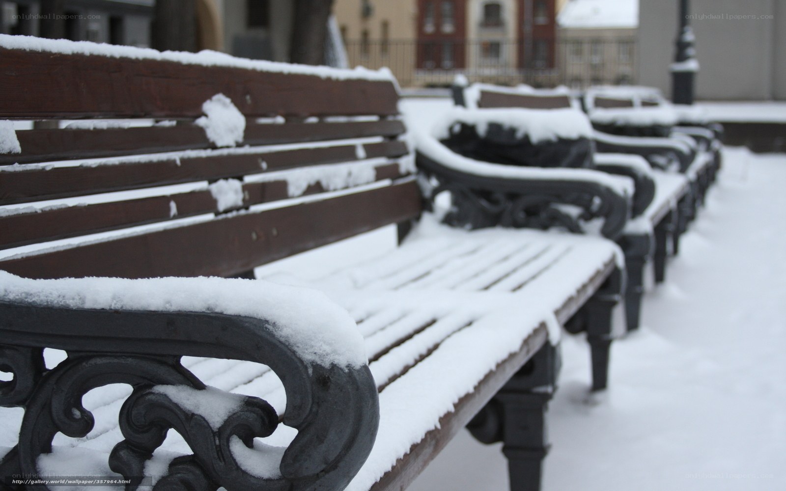 Snow-covered benches in winter