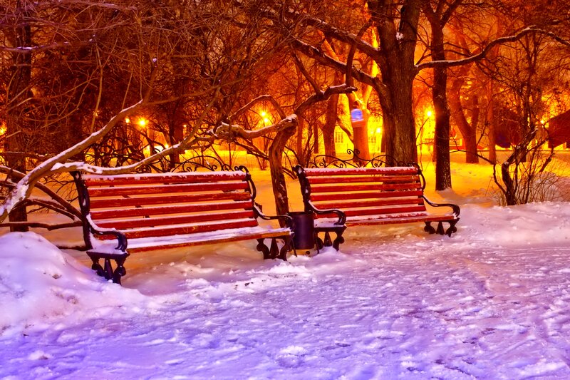 Snow-covered Benches — Orange