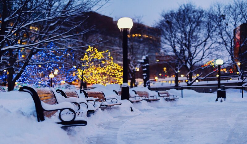 Snow-covered Benches — White, Calm