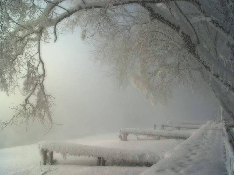 Snow-covered Benches — White, Misty