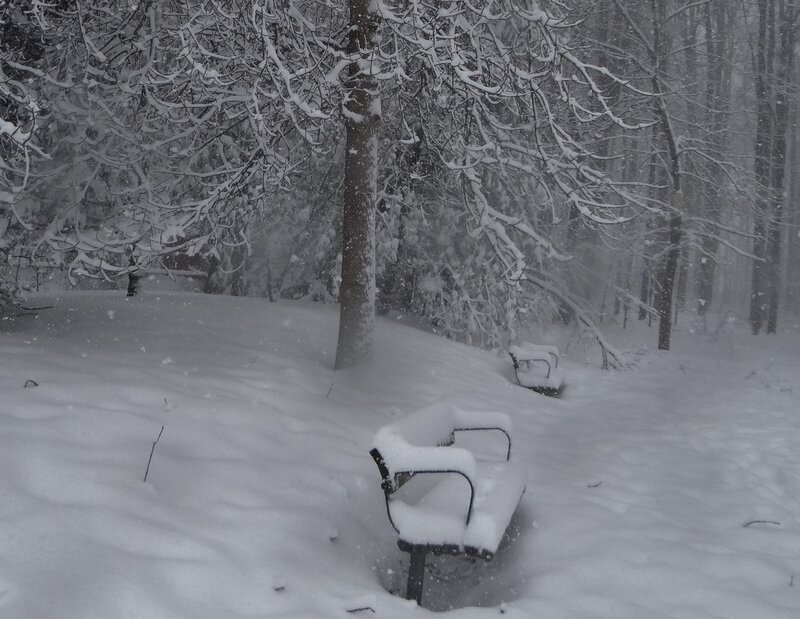 Snow-covered Benches — White, Quiet, Winter
