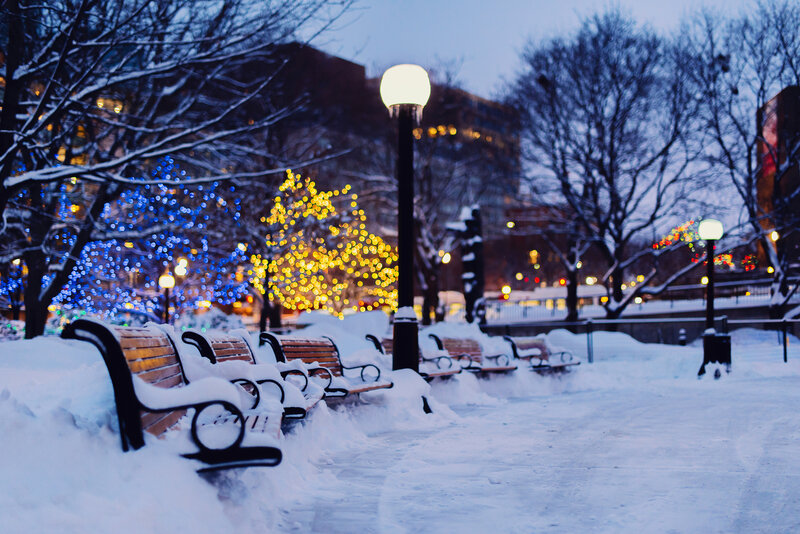 Snow-covered Benches — White, Serene