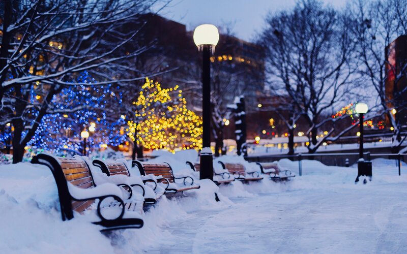 Snow-covered Benches — White, Serene, Winter
