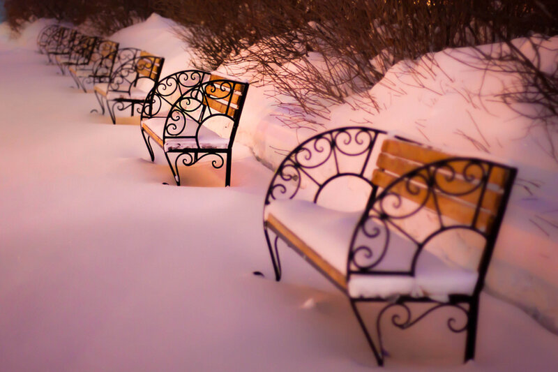 Snow-covered Benches — White