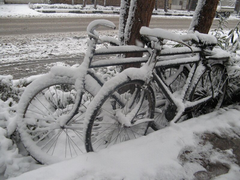 Snow-covered bicycles on a winter day