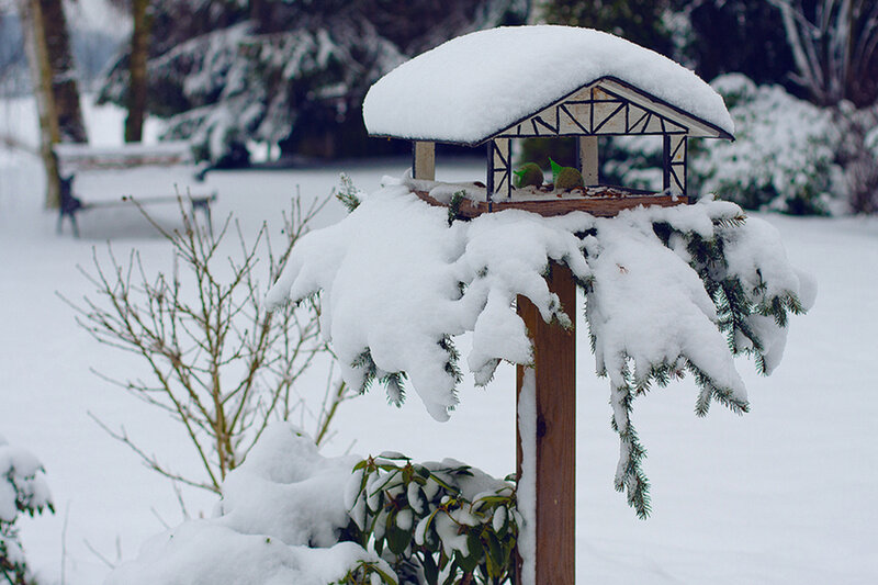Snow-covered Bird Feeder