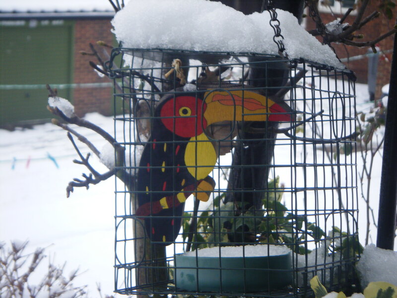 Snow-covered bird feeder with toucan decoration