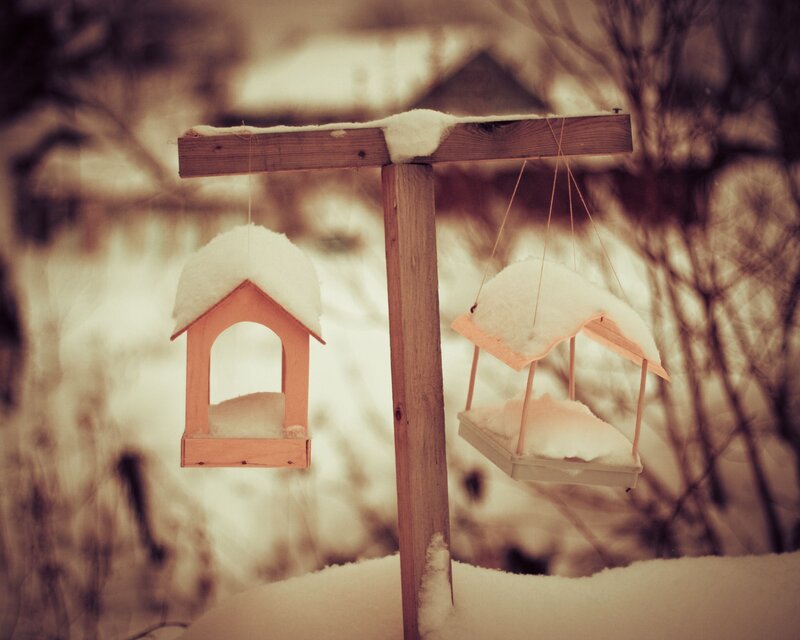 Snow-covered Bird Feeders