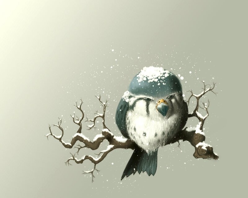 Snow-covered Bird on Branch — White, Calm