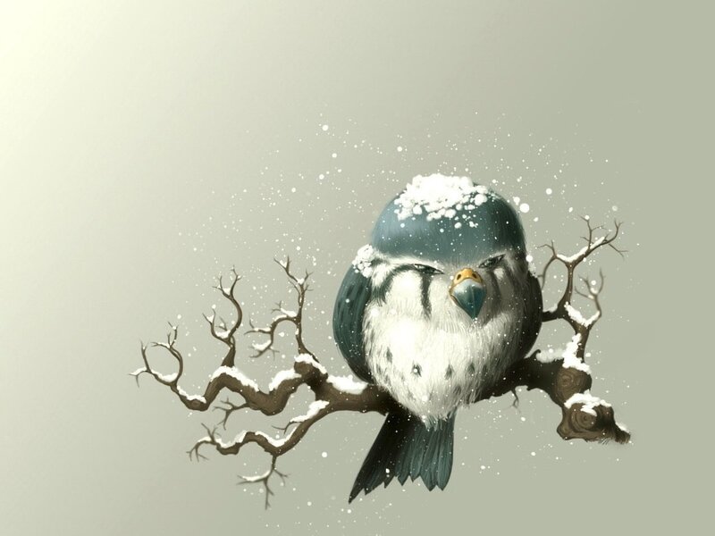 Snow-covered Bird on Branch — White
