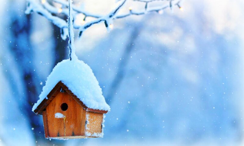 Snow-covered Birdhouse — Blue