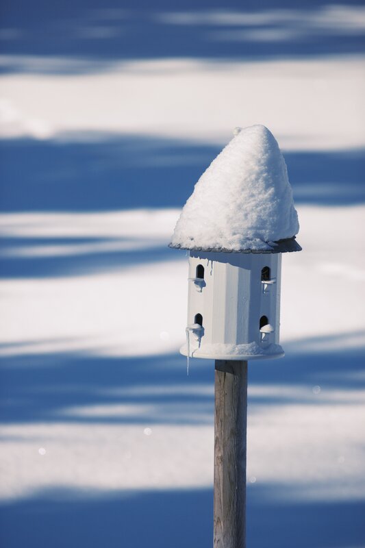 Snow-covered birdhouse in winter