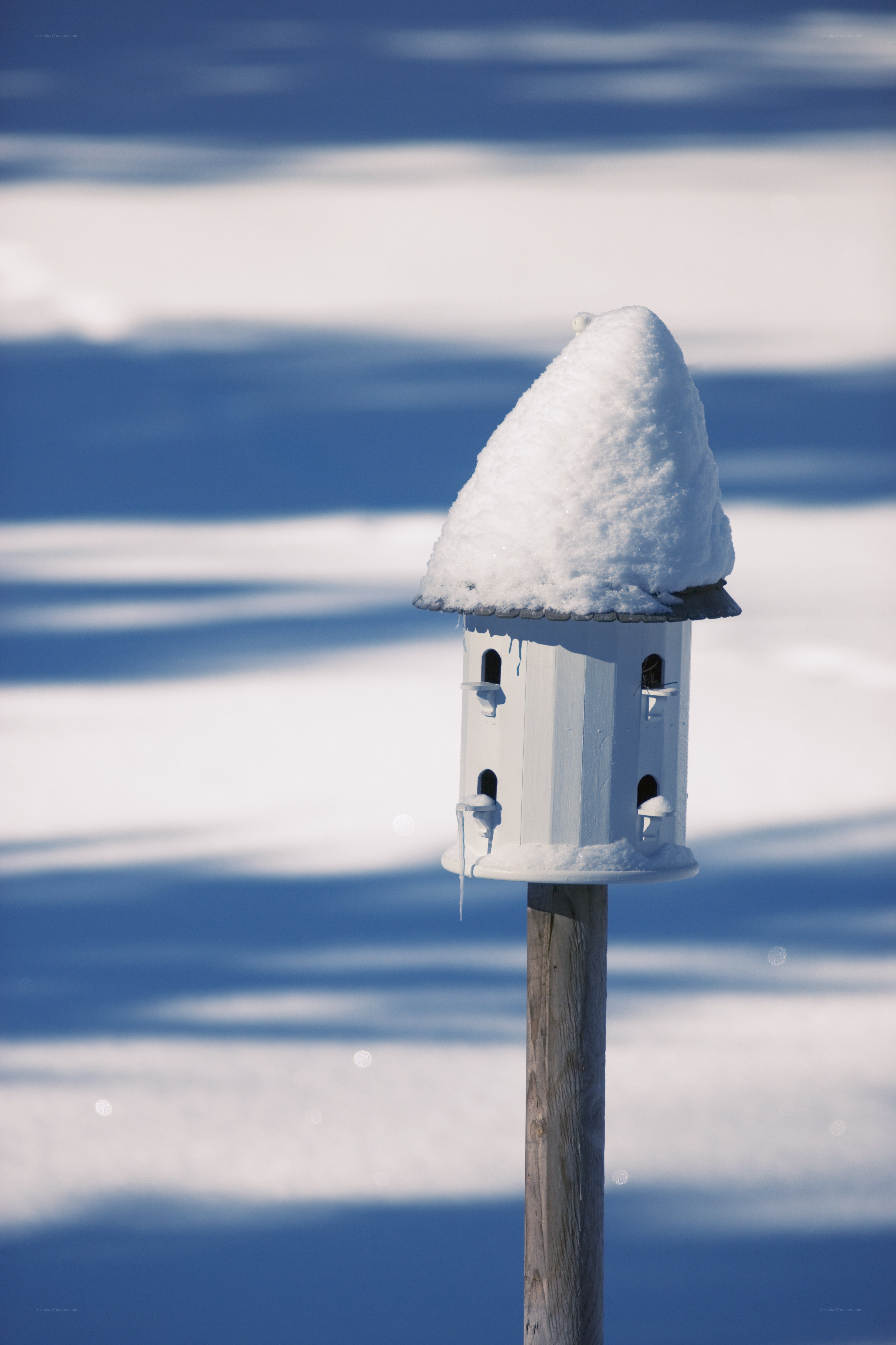 Snow-covered birdhouse in winter