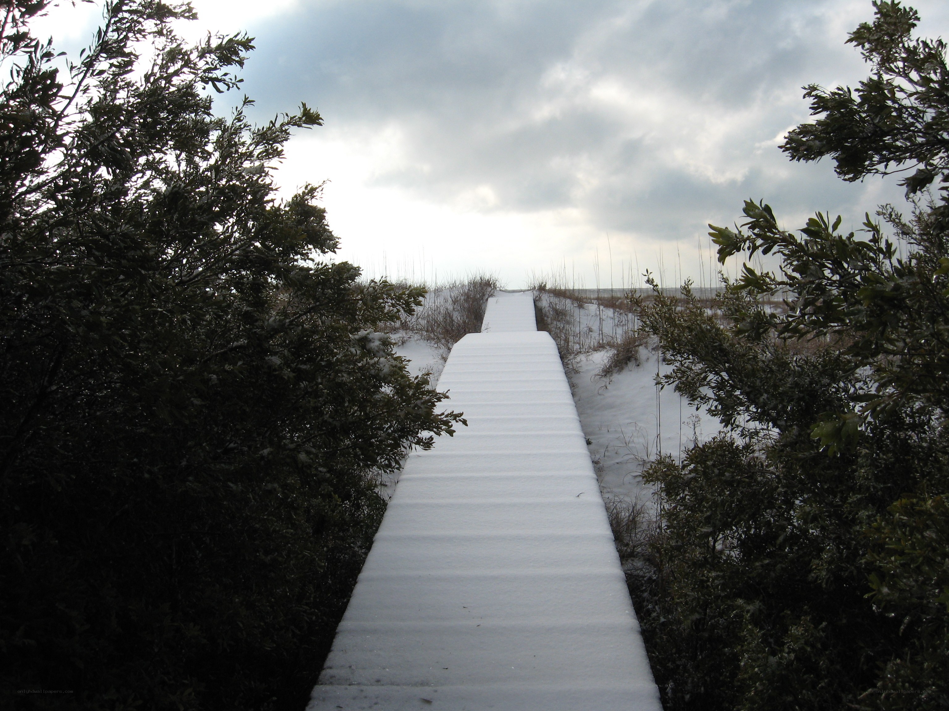 Snow-covered boardwalk to beach