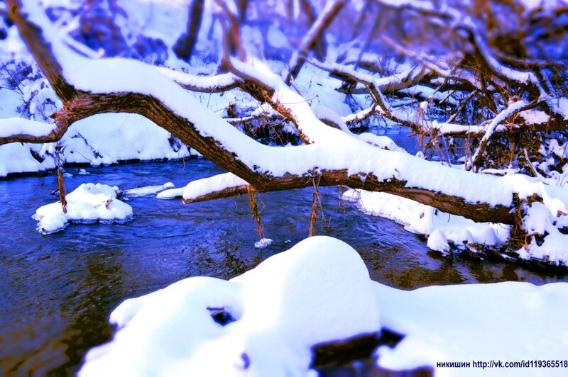 Snow-covered Branch over Stream