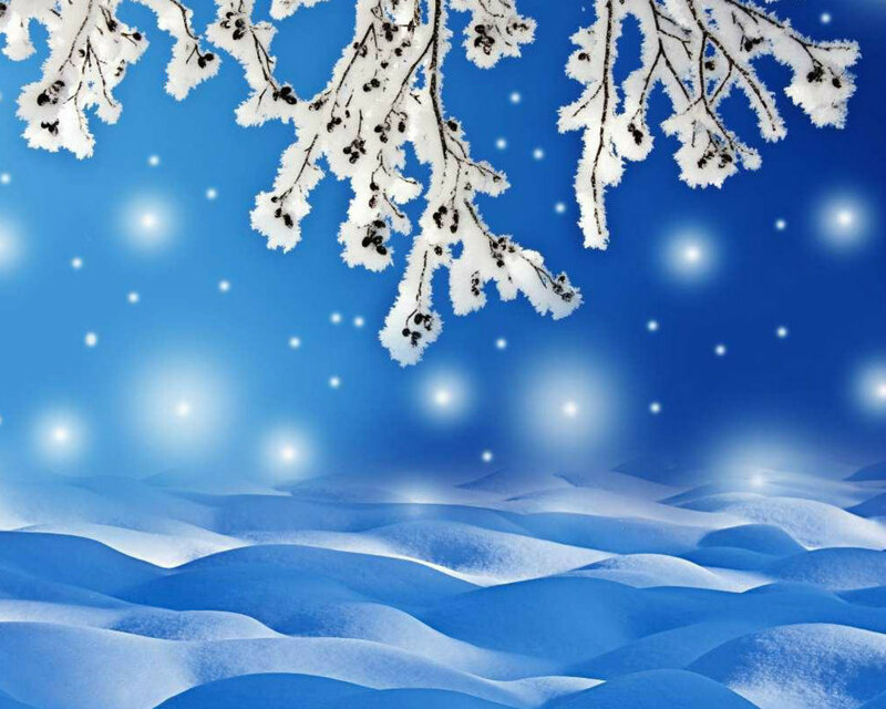 Snow-covered Branches — Blue, Serene, Winter, Digital Art