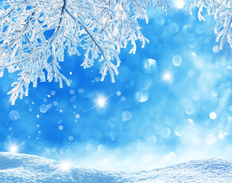 Snow-covered Branches — Blue, Serene, Winter, Photograph