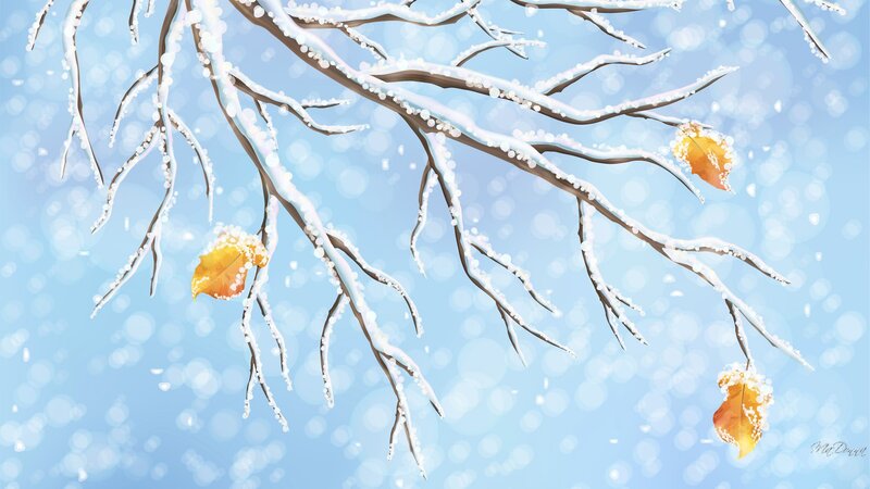 Snow-covered Branches — Blue, Serene, Winter