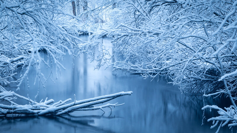 Snow-covered Branches over River