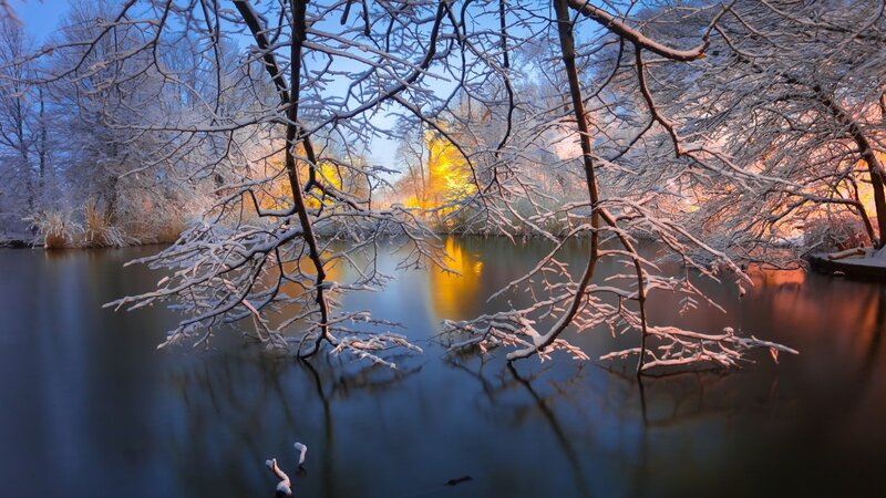 Snow-covered Branches over Water