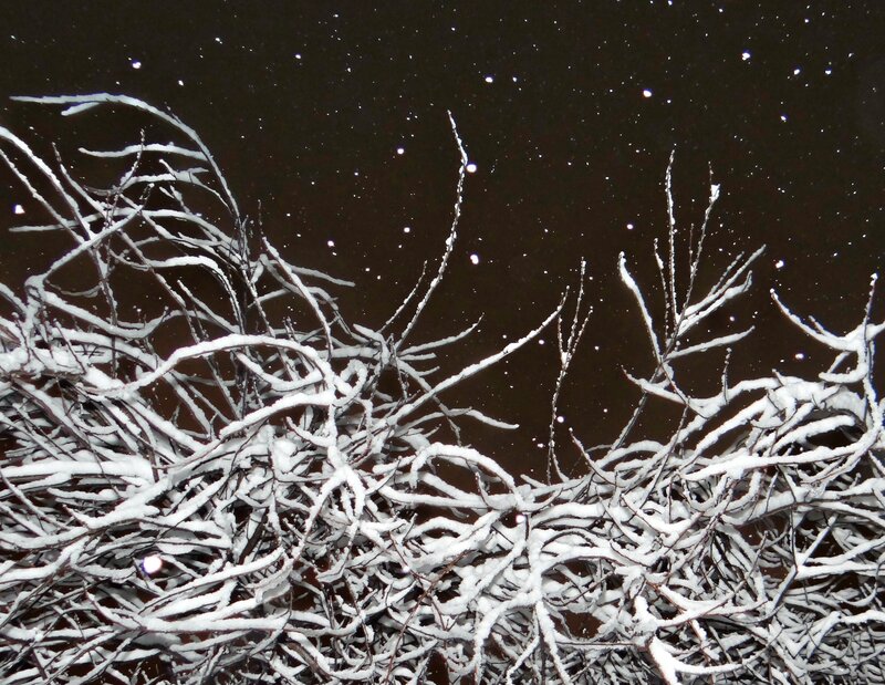 Snow-covered Branches — White, Calm, Night